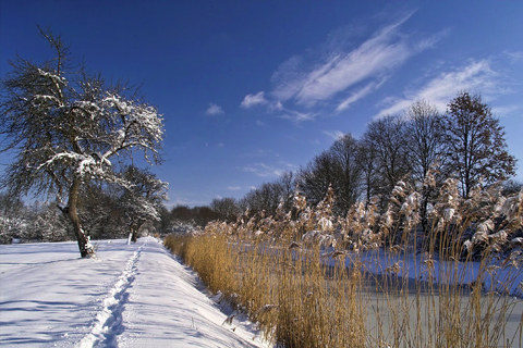 Ludwigskanal - Alter Kanal