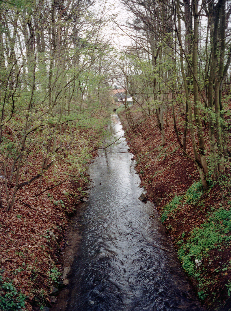 Pilsach-Leitgraben