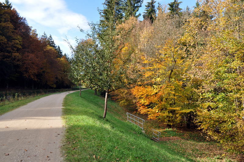 Ludwigskanal - Scheitelhaltung