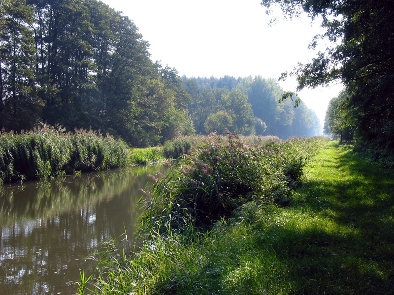 Ludwigskanal - Scheitelhaltung