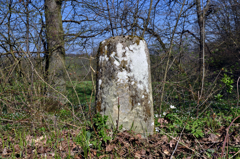 Ludwigskanal - Scheitelhaltung