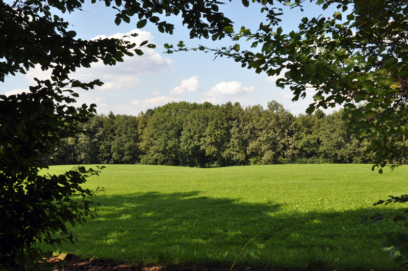 Ludwigskanal - Scheitelhaltung