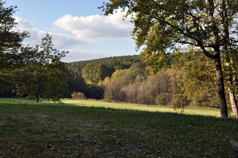 Ludwigskanal - Scheitelhaltung