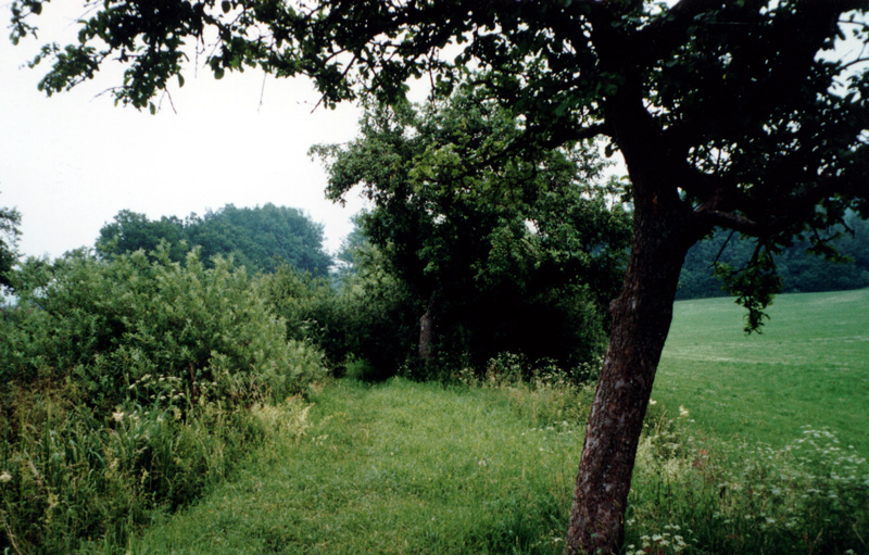 Ludwigskanal - Scheitelhaltung