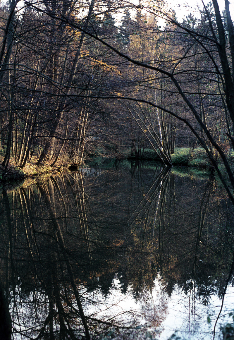 Schwarzachtal