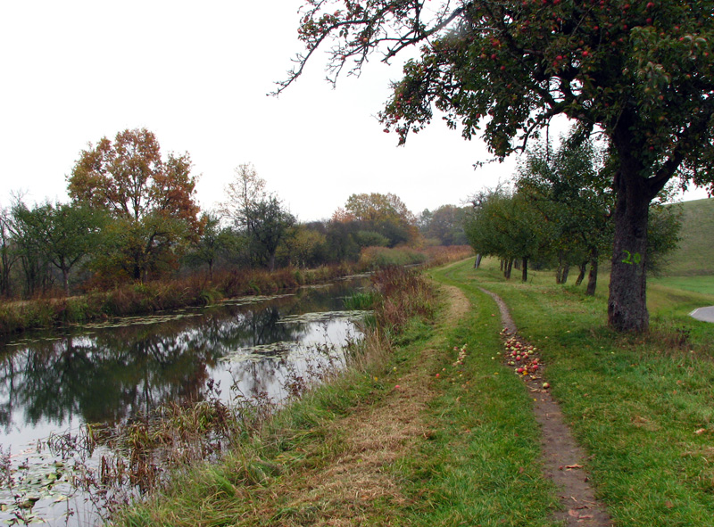 Schwarzenbachdamm