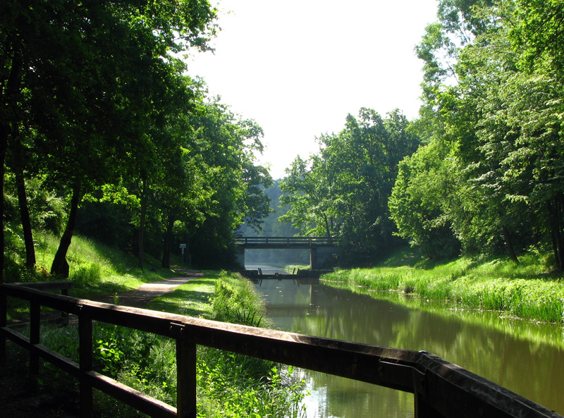 Ludwigskanal - Unterlsbacher Einschnitt