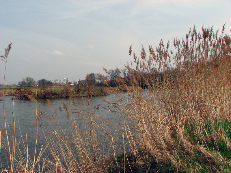 Wasserräder an der Regnitz