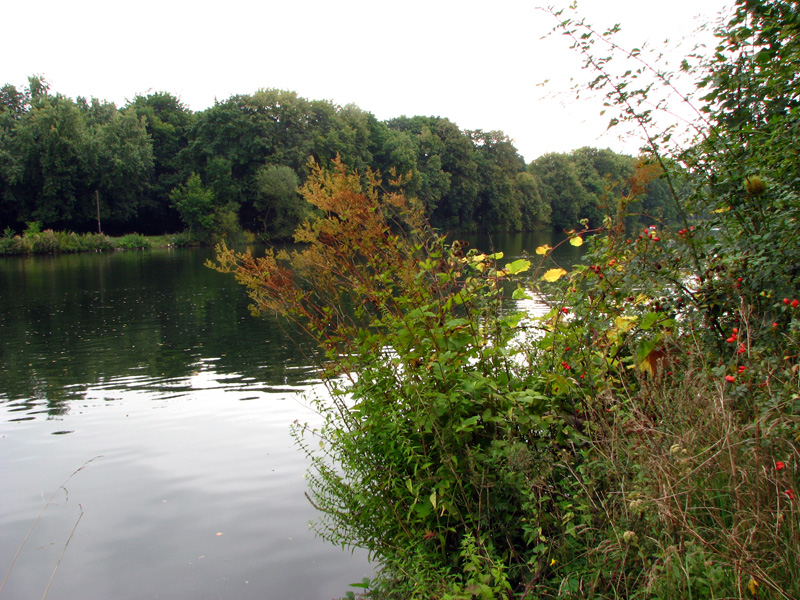 Main-Donau-Kanal - Bamberg - Rechter Regnitzarm