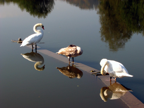 Main-Donau-Kanal - Altmhlkraftwerk Dietfurt