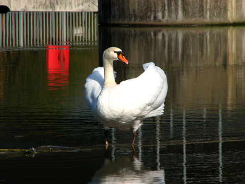 Main-Donau-Kanal - Altmhlkraftwerk Dietfurt