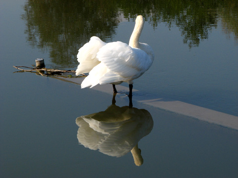 Main-Donau-Kanal - Altmhlkraftwerk Dietfurt