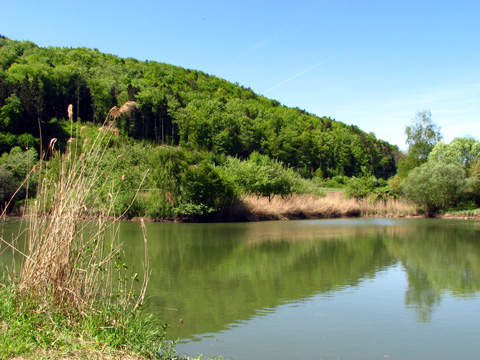 Main-Donau-Kanal - Schleuse Dietfurt - Bereich Beilngries-Yachthafen