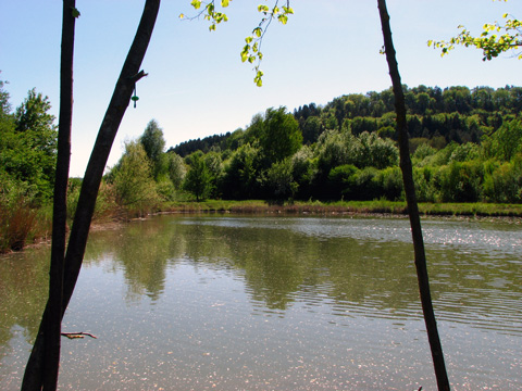 Main-Donau-Kanal - Schleuse Dietfurt - Bereich Beilngries-Yachthafen