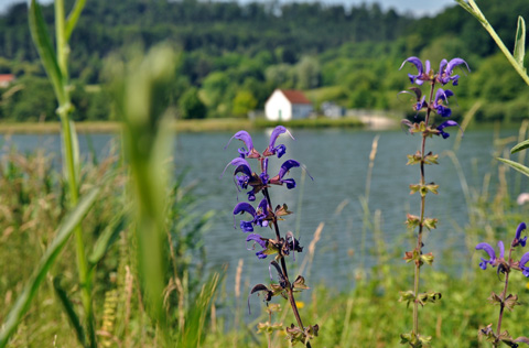 Main-Donau-Kanal - Schleuse Dietfurt - Bereich Beilngries-Yachthafen