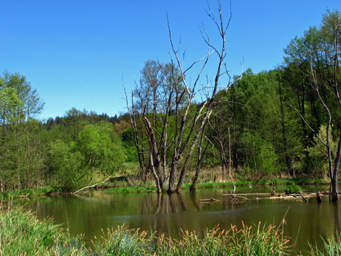 Main-Donau-Kanal - Schleuse Dietfurt - Bereich Beilngries-Gösselthal