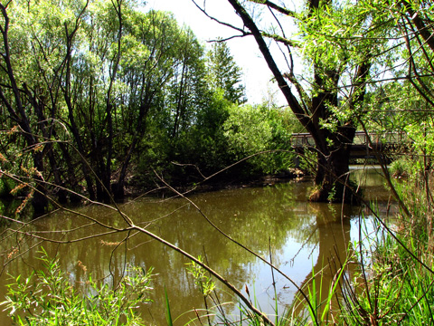 Main-Donau-Kanal - Schleuse Dietfurt - Bereich Beilngries-Gösselthal