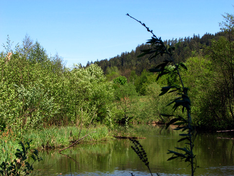 Main-Donau-Kanal - Schleuse Dietfurt - Bereich Beilngries-Gösselthal