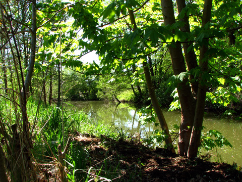 Main-Donau-Kanal - Schleuse Dietfurt - Bereich Beilngries-Gösselthal