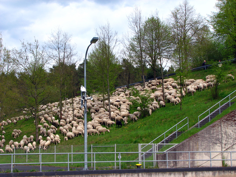 Schleuse Eckersmühlen