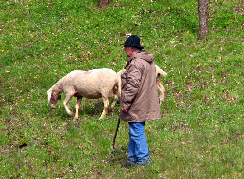 Schleuse Eckersmühlen