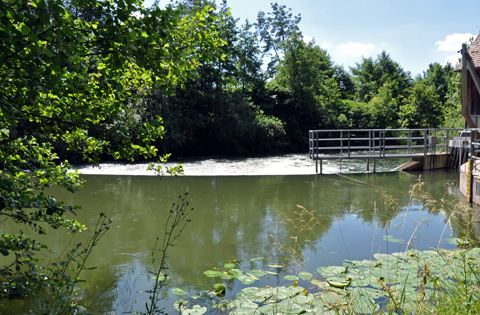 Schleuse Eckersmühlen - Rothsee