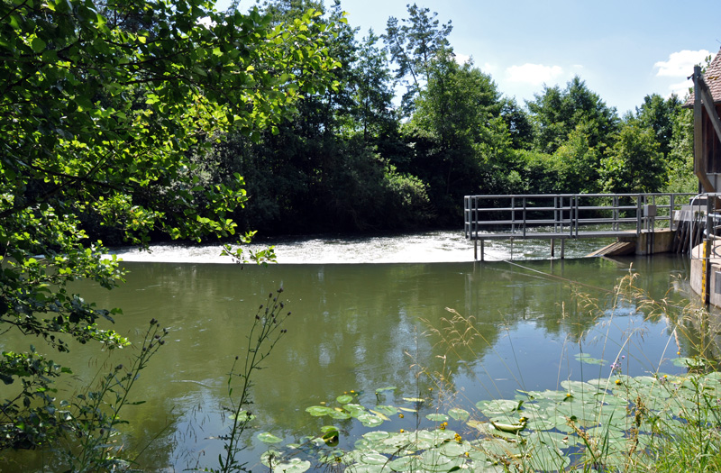 eckersmuehlen_rothsee_83894_1007