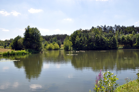 Schleuse Eckersmühlen - Rothsee