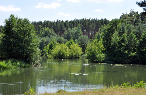 Schleuse Eckersmühlen - Rothsee