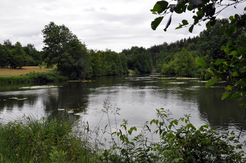 Schleuse Eckersmühlen - Rothsee