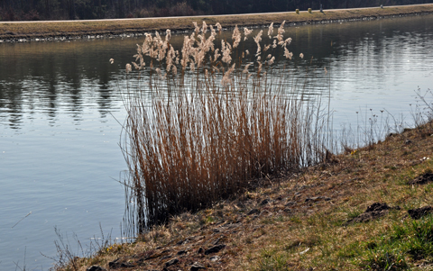 Main-Donau-Kanal - Schleuse Eibach