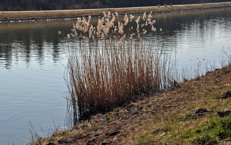 Main-Donau-Kanal Schleuse Eibach