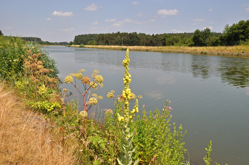 Main-Donau-Kanal Schleuse Eibach