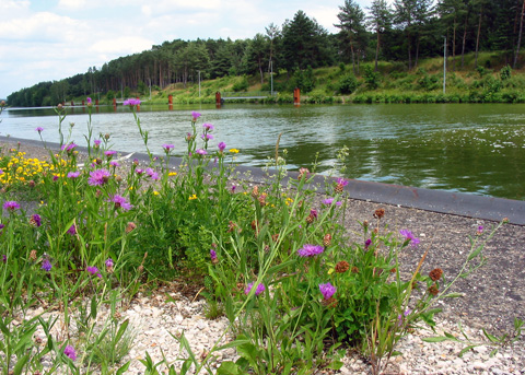 Main-Donau-Kanal - Schleuse Erlangen