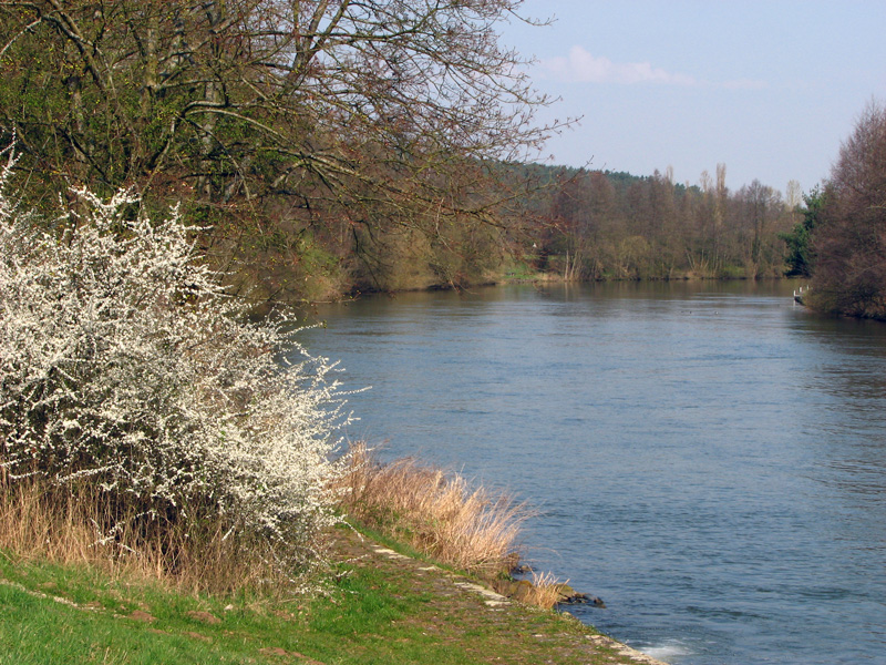 Schleuse Forchheim - Staustufe