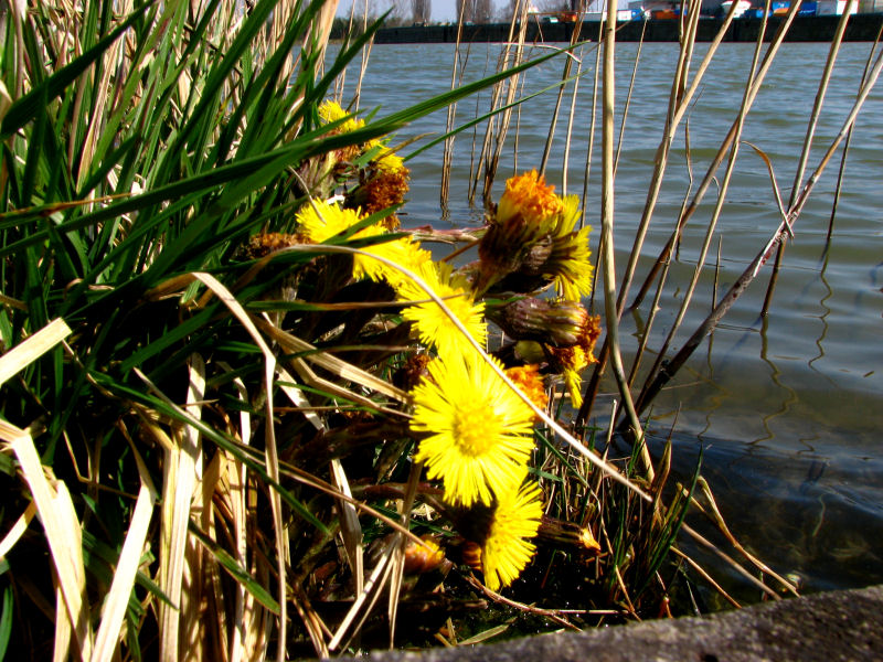 Main-Donau-Kanal - Schleuse Kriegenbrunn