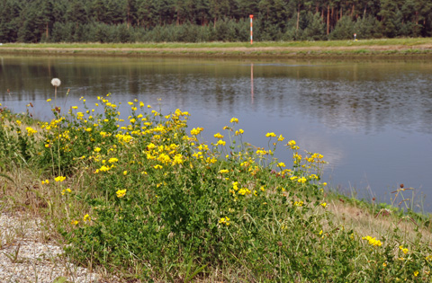 Main-Donau-Kanal - Schleuse Leerstetten