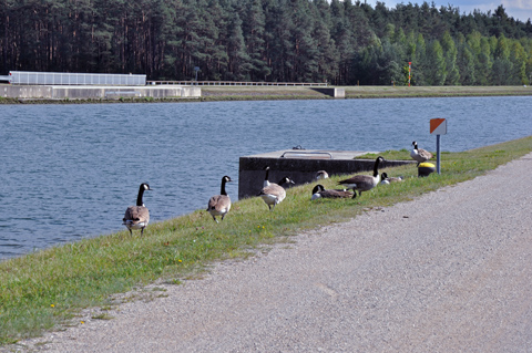 Main-Donau-Kanal - Schleuse Leerstetten