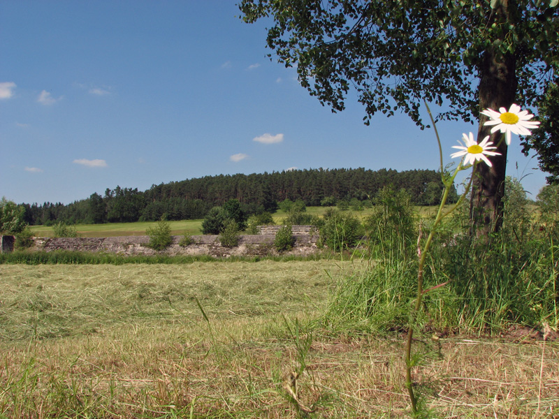 Mindorfer Linie