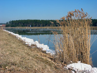 Main-Donau-Kanal - Katzwang / Neuses - Schwarzach-Brücke Neuses