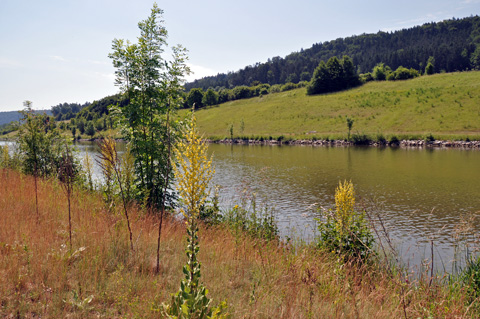 Main-Donau-Kanal - Schleuse Dietfurt - Ottmaringer Tal