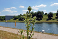 Scheitelhaltung Main-Donau-Kanal