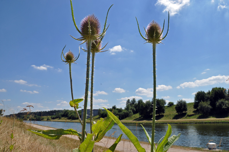 Scheitelhaltung Main-Donau-Kanal