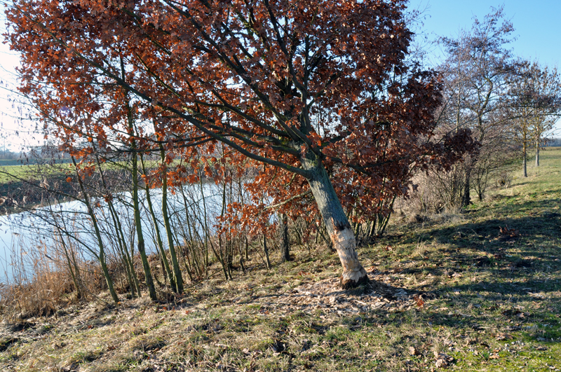 Scheitelhaltung Main-Donau-Kanal