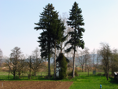 SStrullendorf - Pautzfeld