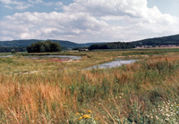 Main-Donau-Kanal - Schleuse Bachhausen