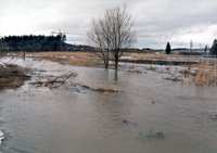 Main-Donau-Kanal - Schleuse Bachhausen