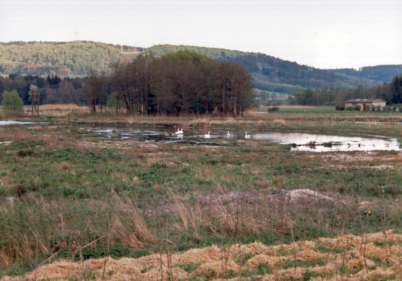 Main-Donau-Kanal - Schleuse Bachhausen