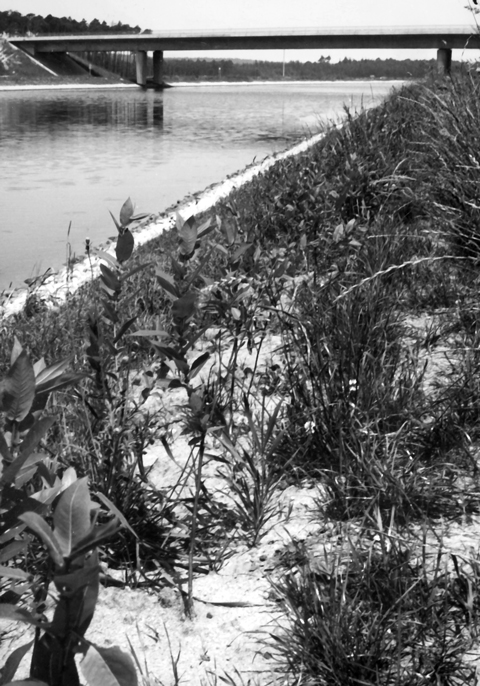 Main-Donau-Kanal - Schleuse Erlangen - Haltung