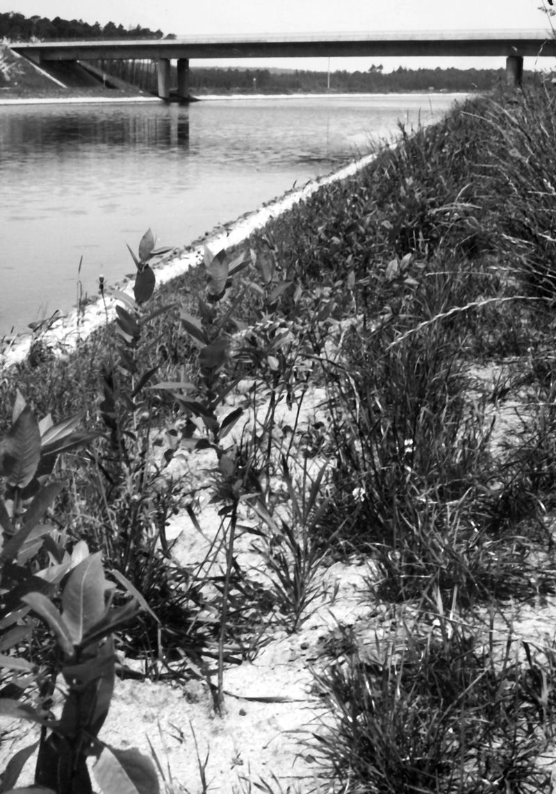 Main-Donau-Kanal - Schleuse Erlangen - Haltung